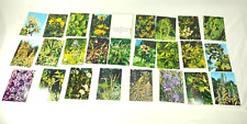 Set of USSR Postcards Medicinal Plants Excursion Into Nature Vintage SOviet Rare picture