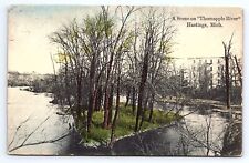 Postcard Scene on Thornapple River Hastings Michigan MI picture