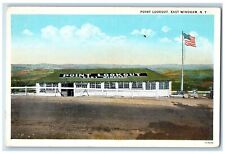 c1930's Point Lookout View Flag East Windham New York NY Vintage Postcard picture