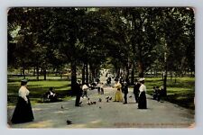 Boston Common MA-Massachusetts, Ladies & Gents Feeding Pigeons Vintage Postcard picture