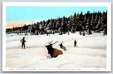 Yellowstone Natl Park~Elk Stalled In Snow & Skiiers @ Hayden Valley~Vintage PC picture