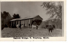 Postcard Covered Hemlock Bridge E. Freyburg Maine c1940s Cattle -D1 picture