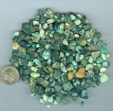 112 Grams of Natural American New Lander Mine Turquoise Rough Nevada Turquoise picture