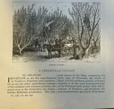1879 Delaware Peach Growers Belmont Hall John Clayton illustrated picture