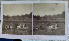 1870s Photograph 4 x 7 Stereoview Men & Women Standing in Field picture