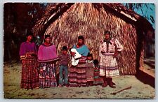 Seminole Indian Family Everglades Florida Postcard Traditional Clothes Grass Hut picture