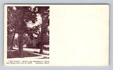 Jackson MI-Michigan, the Oaks, Republican Party Began, Vintage Souvenir Postcard picture