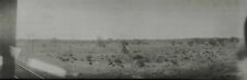 Antique Photo Passenger Train, Indian Standing Desert Panoramic Photo Negative picture