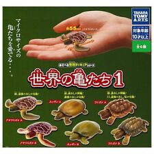 Playable Biology World Turtles Gashapon Toys Set of 6 picture
