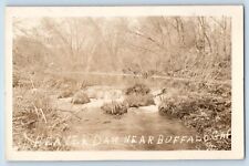 Buffalo Gap South Dakota SD Postcard RPPC Photo Beaver Dam c1910's Antique picture