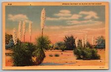 Arizona Spanish Bayonet Desert Florda Flower CT Art Colortone Linen VTG Postcard picture