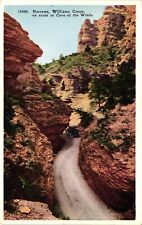 The Narrows Williams Canyon Old Car CO White Border Postcard Unused c1920s picture