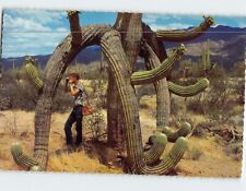 Postcard Saguaro Cactus picture