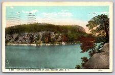 Sky Top West Shore Lake Mohonk Lake New York Lakefront Forest Vintage Postcard picture