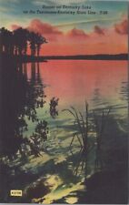 MR ALE c1940s Louisville KY KENTUCKY Sunset on Kentucky Lake Postcard UNP 3096 picture