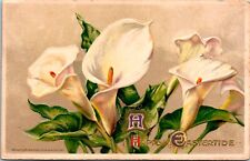 Vintage John Winsch Beautiful Easter Lillies Flower Bunch Antique Postcard picture