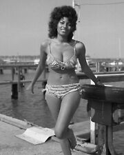 Actress PAM GRIER in a Bikini on The Docks Classic Retro Poster Photo 13x19 picture