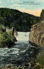 Postcard C-1910 Idaho Beautiful Snake River lower falls Cohn Brothers 24-6478 picture