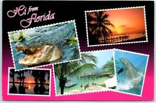 Postcard - Greetings from Florida picture