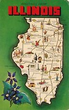 Greetings from Illinois map with violet flowers vintage postcard unposted picture