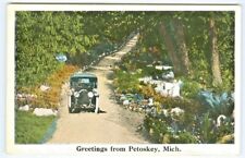 Petoskey MI Scenic Country Road Auto Touring Greetings from Petoskey picture