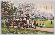 Oakland California, Children Playing in a Park, Vintage Postcard picture