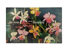 60's Hawaii Rainbow Orchids Greetings Postcard Nani Li'i Unposted Unmarked picture