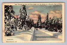 CO-Colorado Winter Mountain Road Pines Period Car Vintage c1947 Postcard picture