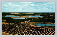 Bright Blue Lakes, Rich Green Citrus Groves, Florida Vintage Postcard picture