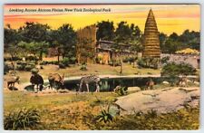 African Plains New York Zoological Park Bronx NYC Vintage Linen Postcard AF501 picture