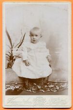New London, CT, Portrait of a Toddler, by Kenyon & Son, circa 1890s  picture