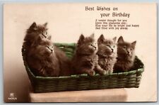 Vintage Kittens Break Through St. Louis Globe Democrat Newspaper c1910-15 NP picture