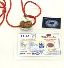 14 Fourteen Mukhi Rudraksha Nepal Origin Lab Certified with X Ray Silver Capped picture