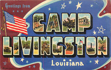 Large Letter Linen Greeting Postcard Camp Livingston Louisiana Curt Teich WWII picture
