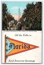 Florida FL Postcard All The Folks Multiview Orange Grove c1910 Vintage Pennant picture