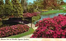 Postcard FL Cypress Gardens Florida Blossom Time 1975 Chrome Vintage PC H2752 picture