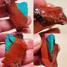 Red Mexican Parrot Wing Sonora Sunrise Chrysocolla Rough 23g Turquoise Cousin  picture