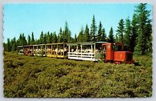 Train~Toonerville Trolley To Hunter's Mill~Vintage Postcard picture