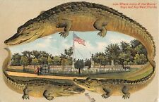 c.1908 Alligator Border Where Many of the Maine Boys Rest Key West FL post card picture