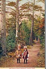 VIntage Postcard-Old IIndian Trail, Mackinac Island, MI picture