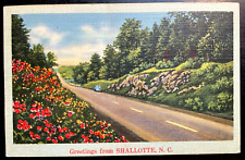Vintage Postcard 1930-1945 Greetings from Shallotte, North Carolina (NC) picture