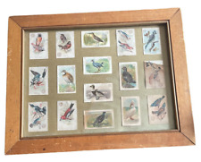 Antique Arm and Hammer Bird Cards Framed- SOME DAMAGE- SEE PHOTOS picture