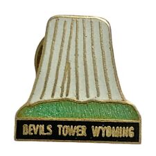 Vintage Devils Tower Wyoming Scenic Travel Souvenir Pin picture