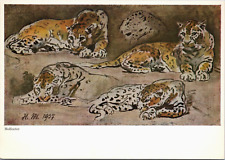 Hans Molfenter 1937 Panther Postcard German Artist Painter Studied Stuttgart picture