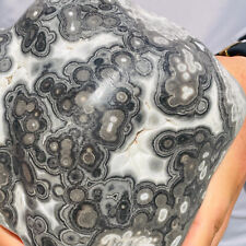 7.65lb Large Rare Natural Dragon Scale Stone Agate Eye Crystal Display Specimen picture