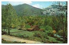 Vintage Pioneer Mountain Home Great Smoky Mountains National Park Postcard Unp. picture