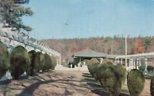 Postcard AR Hot Springs Mountain Valley Mineral Water Spring Vintage PC G1307 picture