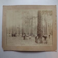 Rare Agricultural ''Sapping Trees'' Antique Cabinet Card Photo 1880's Dailey Tx. picture