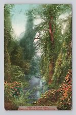 Postcard Creek View Rancho Chico Chico California posted 1912 picture