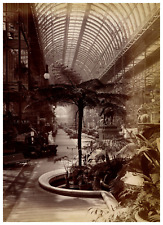 England, London, Crystal Palace, Interior, Man on a Bench Vintage Albumen Print picture